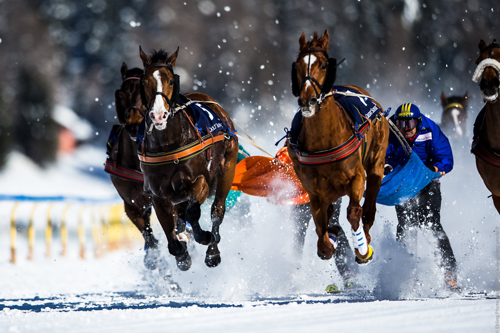 White Turf