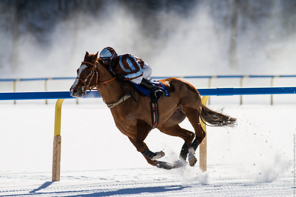 White Turf